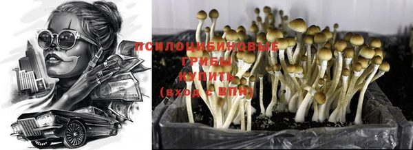 гидропоника Балабаново